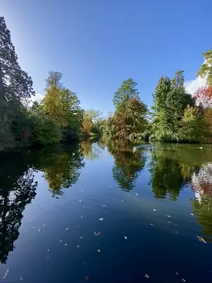 Patos en Kew Gardens